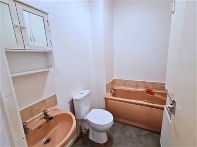 Picture 7
